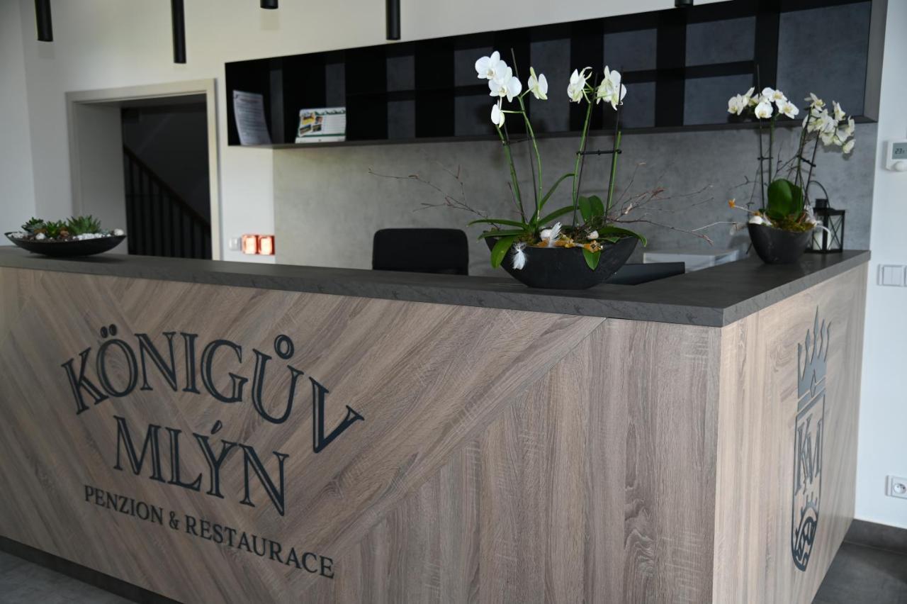 Penzion Koeniguv Mlyn Loučná pod Klínovcem エクステリア 写真